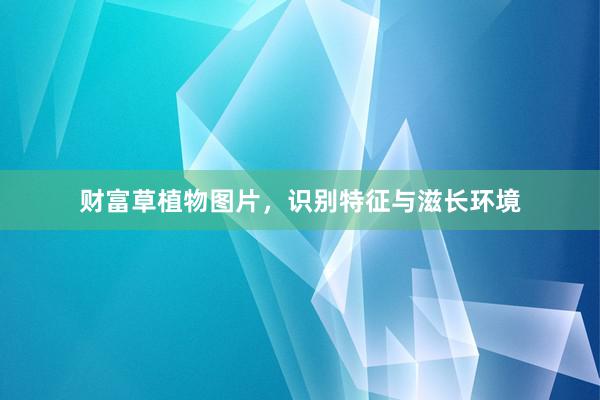 财富草植物图片，识别特征与滋长环境